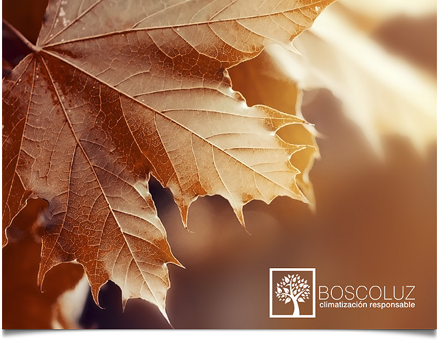 Empresa de climatizacion responsable en Madrid